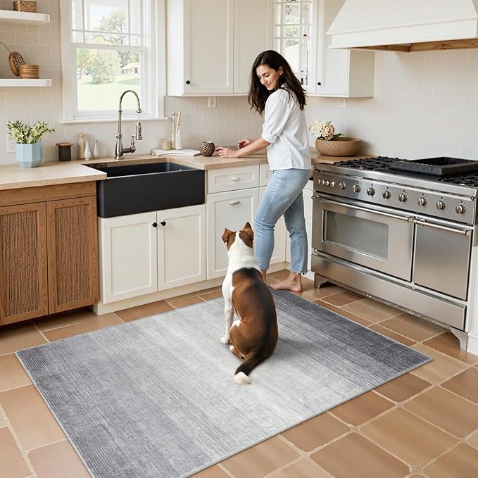 Wonnitar Washable Grey Area Rug 3x5, Modern Ombre Entry Rug Throw Rugs for Living Room, Non-Slip Contemporary Gradient Soft Rug for Bedroom Low Pile for Bathroom Kitchen Dining Mud Room (Grey, 3'x5')