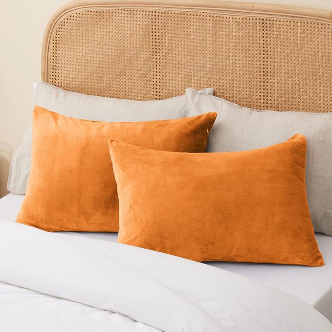 BEDELITE Flannel Pillow Cases Queen Size Set of 2, Super Soft Fleece Pillowcases with Zipper for Bedroom, Sofa, Luxury Cozy Fuzzy Velvet Pillow Shams for All Seasons(20x30 Inches,Burnt Orange)