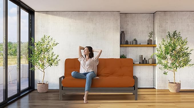 Royal Sleep Products by The Futon Factory 6 inch Foam Futon Mattress - Solid Cinnamon Cover - Queen Size - CertiPUR Certified Foams - Made in USA - Replacement Mattress - (Frame not Included)