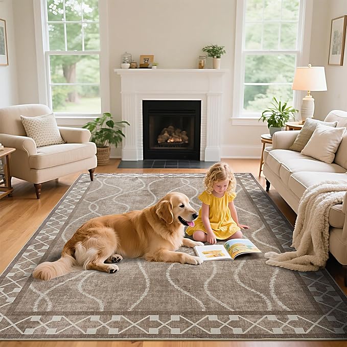 5x7 Area Rugs for Living Room, Machine Washable Rugs, Non-Slip Backing Low Pile Indoor Floor Rugs, Large Modern Carpet for Bedroom Entryway Classroom Playroom Dining Room Home Decor, Brown