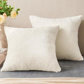 BEDELITE Velvet Pillow Covers 26x26 with Zipper, 2 Pack Super Soft Square Pillow Covers for Bedroom, Sofa, Couch,Luxury Cozy Fleece Pillowcases for All Seasons(26x26 Inches, Off White)
