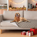gogobunny 100% Double Sided Waterproof Dog Blanket Soft Pet Bed Cover Reversible Protect Furniture Couch Sofa Car for Puppy Large Dog Cat (Dark Stone/Light Stone, 30x70 Inch (Pack of 1))