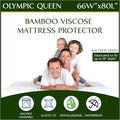 Olympic Queen Size (66"x80") Waterproof Mattress Protector - Cooling Viscose derived from Bamboo Fitted Sheet Super Queen Mattress Cover - Quilted Jacquard Pad