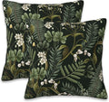 Spring Floral Throw Pillow Covers Set of 2 Green Herbs Botanical Pillow Covers 16x16 Inch Modern Farmhouse Home Decorative Pillow Cases Cushion Cover for Sofa Living Room Office