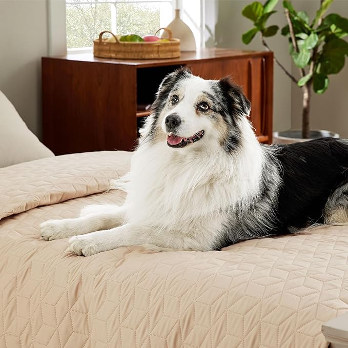 Bedsure 100% Waterproof Bed Cover for Dogs Washable - Non Slip Waterproof Dog Blanket for Bed, Lightweight Furniture Protector Durable for Pet Cat Puppy with Non-Slip Bottom, Beige, 82x102IN