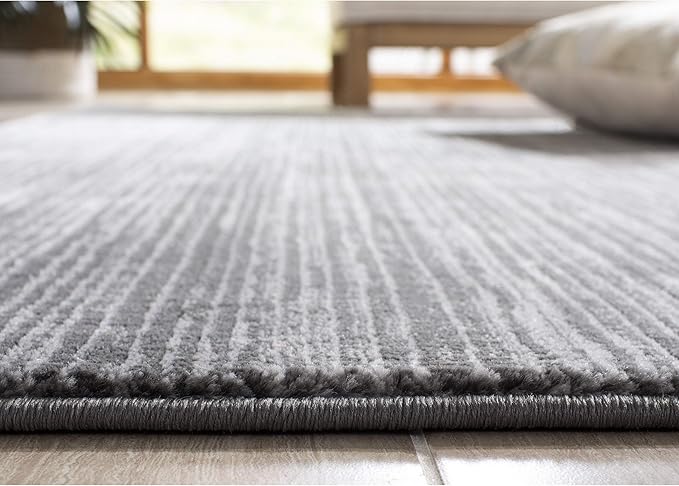 SAFAVIEH Vision Collection Area Rug - 4' Round, Grey, Modern Ombre Design, Non-Shedding & Easy to Clean, Ideal for Living Room, Bedroom, Dining Space (VSN606D)