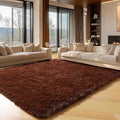 ONASAR Brown Rugs for Living Room Bedroom, 5x8 Washable Fluffy Bedside Area Rug, Soft Plush Shaggy Indoor Floor Carpet for Nursery Kids Girls Boys Teen Dorm Home Office Decor Aesthetic