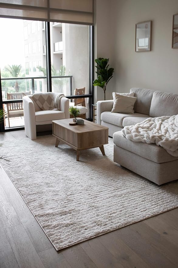 Hauteloom Keita Living Room, Bedroom Area Rug - Contemporary - High Pile - Bone - 9'2" x 12'