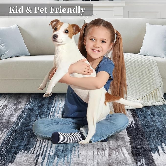 Ciicool Abstract Area Rug Indoor, 3x5 Washable Entryway Rug, Modern Soft Throw Rug with Non-Slip Backing Ideal for Bedroom Living Room Entrance Kitchen, Low-Pile Floor Carpet Doormat Blue Grey