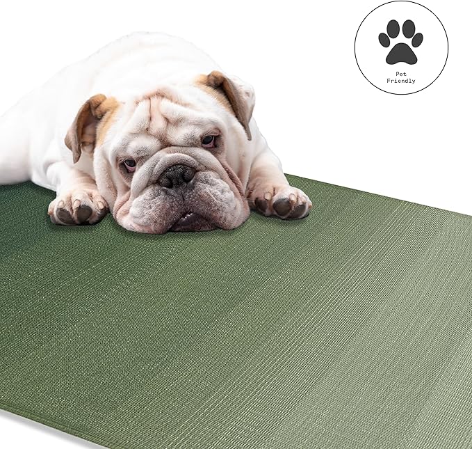 Fab Habitat Ombre Outdoor Rug - Waterproof, Fade Resistant, Crease-Free - Premium Recycled Plastic - Striped - Patio, Porch, Deck, Balcony - Big Sur - Green - 6 x 9 ft