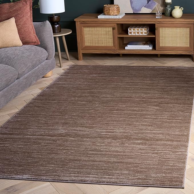 SAFAVIEH Vision Collection Area Rug - 4' Square, Light Brown, Modern Ombre Design, Non-Shedding & Easy to Clean, Ideal for Living Room, Bedroom, Dining Space (VSN606C)