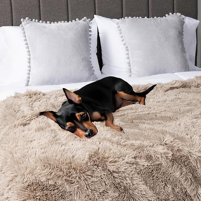 PetAmi Waterproof Dog Blanket for Medium Large Dogs, Calming Fleece Cat Blanket, Couch Protector Washable Sherpa Faux Fur Pet Throw for Puppy, Soft Reversible Leakproof 40x60 Taupe