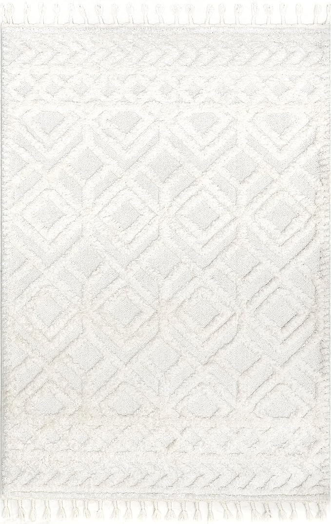 nuLOOM Akia Lattice High/Low Tassel Area Rug, 9x12, Beige
