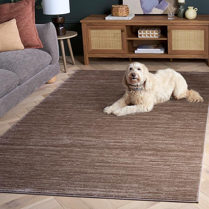 SAFAVIEH Area Rug 3x5 - Vision Collection - Light Brown, Modern Ombre Design, Non-Shedding & Easy to Clean, Ideal for Foyer, Entryway, Bedroom, Accent Space (VSN606C)