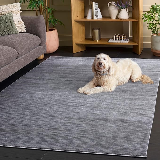 SAFAVIEH Area Rug 3x5 - Vision Collection - Silver, Modern Ombre Design, Non-Shedding & Easy to Clean, Ideal for Foyer, Entryway, Bedroom, Accent Space (VSN606G)