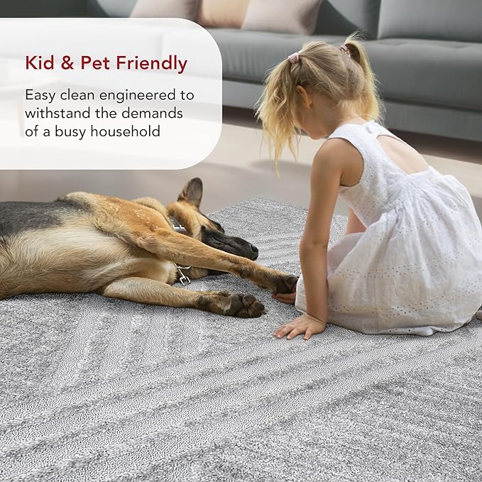 nuLOOM Risette Light Grey, 10' x 14', Geometric, Soft and Textured, High Traffic, Stain Resistant, Easy Clean, Durable Area Rug for Bedroom, Living Room, Dining Space, Den, Foyer, Entryway