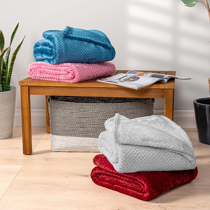 PAVILIA Light Gray Throw Blanket for Couch, Twin Bed, Soft Fleece Throws for Sofa Chair, Fuzzy Waffle Textured Blanket, Cozy Warm Lightweight All Season Blanket Throw, 60x80