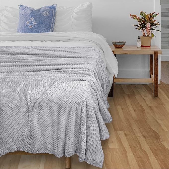 PAVILIA Light Gray Throw Blanket for Couch, Twin Bed, Soft Fleece Throws for Sofa Chair, Fuzzy Waffle Textured Blanket, Cozy Warm Lightweight All Season Blanket Throw, 60x80