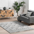 nuLOOM Akia Lattice High/Low Tassel Clearance Area Rug, 4x6, Light Grey