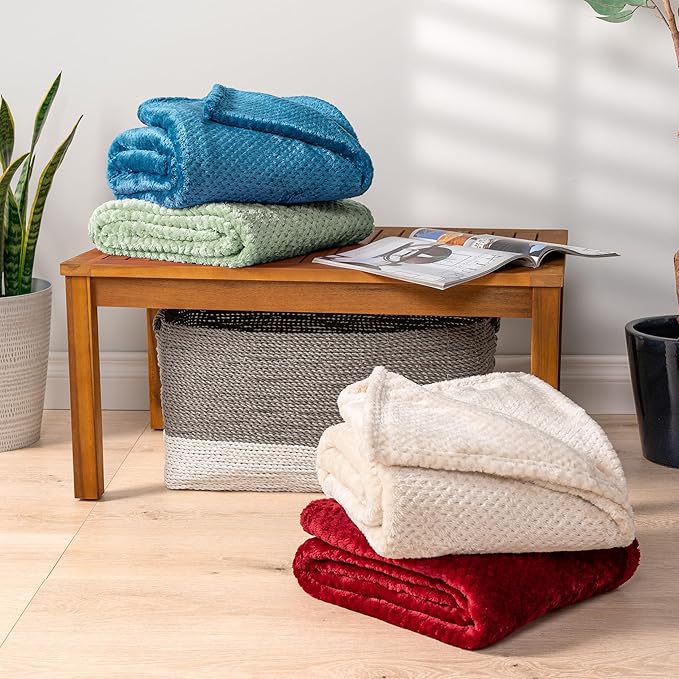 PAVILIA Sage Green Throw Blanket for Couch, Twin Bed, Soft Fleece Throws for Sofa Chair, Fuzzy Waffle Textured Blanket, Cozy Warm Lightweight All Season Blanket Throw, 60x80