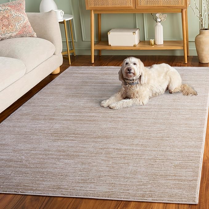 SAFAVIEH Area Rug 3x5 - Vision Collection - Cream, Modern Ombre Design, Non-Shedding & Easy to Clean, Ideal for Foyer, Entryway, Bedroom, Accent Space (VSN606F)