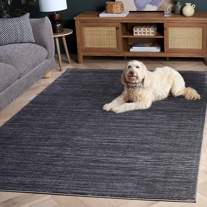 SAFAVIEH Area Rug 3x5 - Vision Collection - Grey, Modern Ombre Design, Non-Shedding & Easy to Clean, Ideal for Foyer, Entryway, Bedroom, Accent Space (VSN606D)