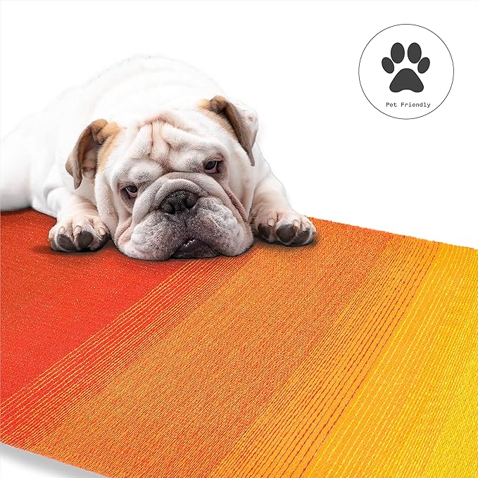 Fab Habitat Outdoor Rug - Waterproof, Fade Resistant, Crease-Free - Premium Recycled Plastic - Ombre - Patio, Deck, Porch, Balcony, Laundry Room - Big Sur - Sunset - 4 x 6 ft