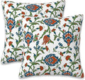 Throw Pillow Cover Case Vintage Floral Pillow Covers 20x20 Inch Set of 2,Soft Decorative Throw Pillow Case for Living Room Bedroom Sofa Couch Cushion Covers