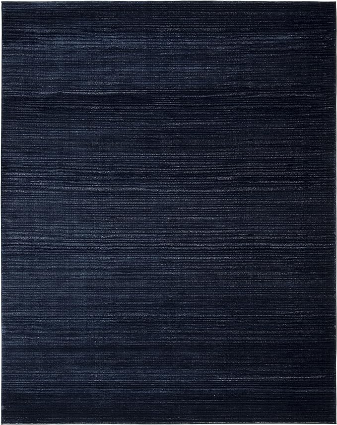 SAFAVIEH Area Rug 6x9 - Vision Collection - Navy, Modern Ombre Design, Non-Shedding & Easy to Clean, Ideal for Living Room, Bedroom, Dining Space (VSN606N)