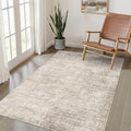 4x6 Rug Washable Area Rugs: Neutral Abstract Soft Modern Stain Resistant Small Indoor Floor Non-Slip Low Pile Throw Carpet for Entryway Kitchen Bedroom Nursery Kids Office Playroom Home House