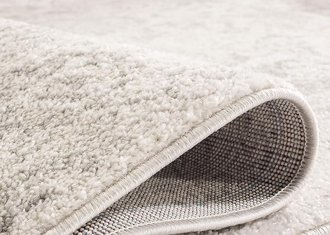 SAFAVIEH Area Rug 8x10 - Adirondack Collection - Large - Ivory & Silver, Distressed Vintage Floral Design, Non-Shedding & Easy to Clean, Ideal for Living Room, Bedroom, Dining Space (ADR109C)