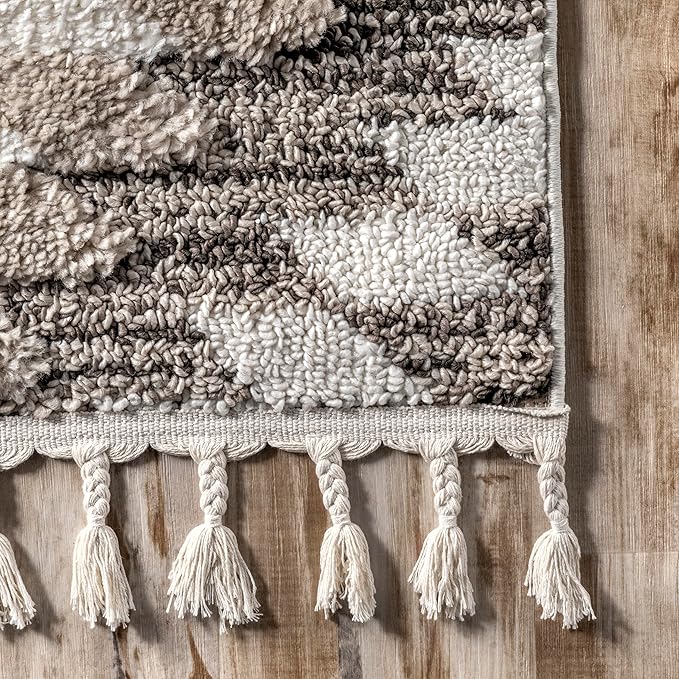 nuLOOM Adelade Beige/Ivory, 4' x 6', Southwestern, Shaggy, Soft and Cozy, High Traffic, Stain Resistant Area Rug for Bedroom, Living Room, Dining Space, Den, Foyer, Entryway