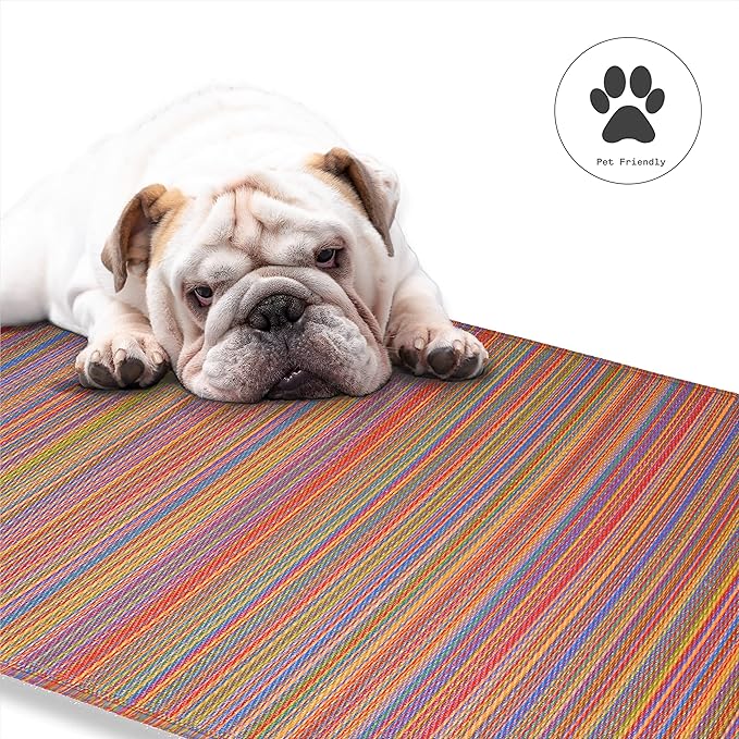 Fab Habitat Outdoor Rug - Waterproof, Fade Resistant, Crease-Free - Premium Recycled Plastic - Striped - Patio, Deck, Porch, Balcony, Laundry Room - Cancun - Multicolor - 4 x 6 ft